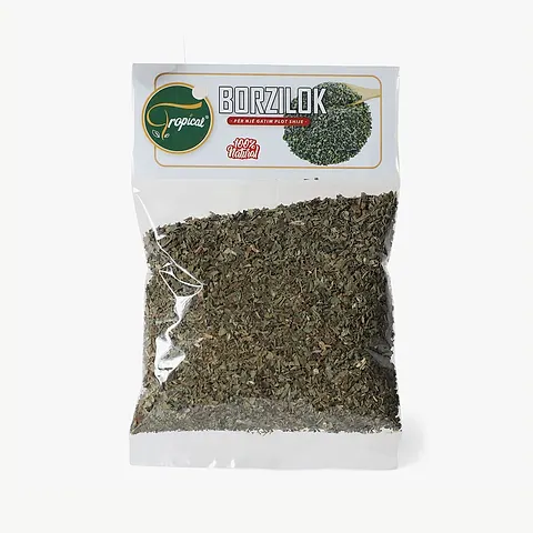 Borzilok